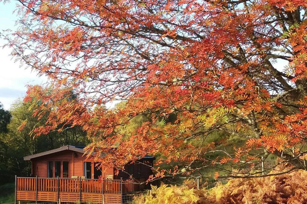 Glas Doire Lodge, Glen Roy Nature Reserve Roybridge Exterior photo